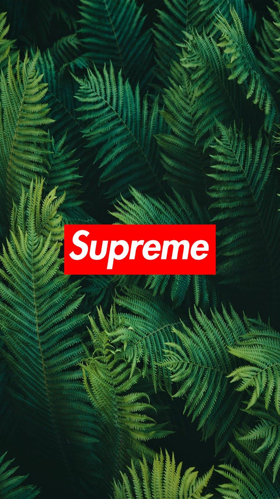 Supreme Green Wallpapers Wallpaper Cave