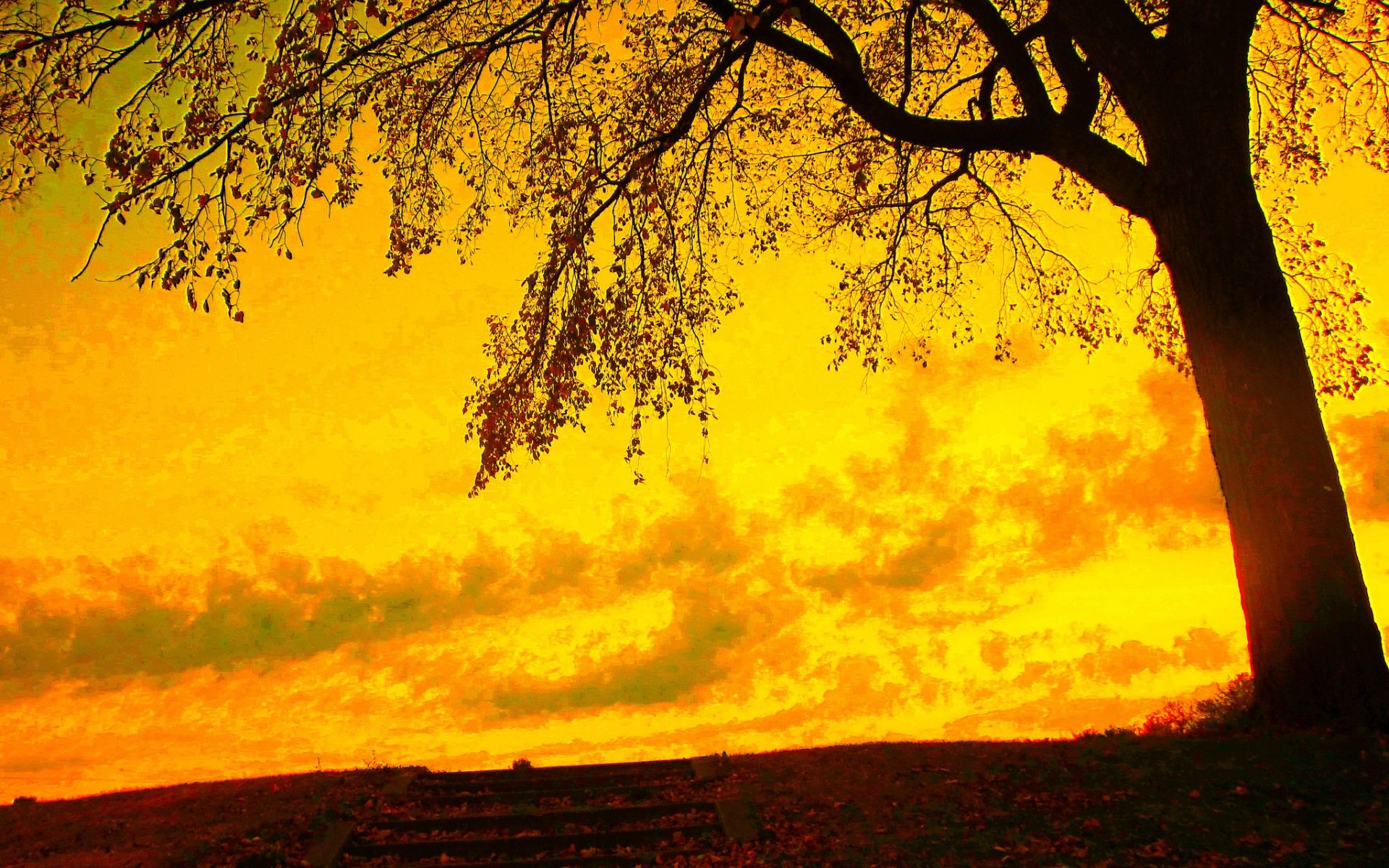 Yellow Sky Wallpapers Wallpaper Cave