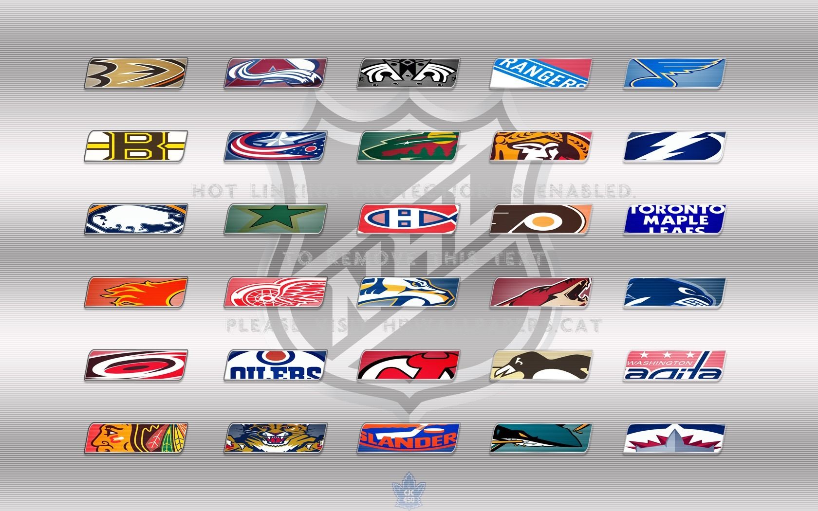 Nhl Team Logos Names