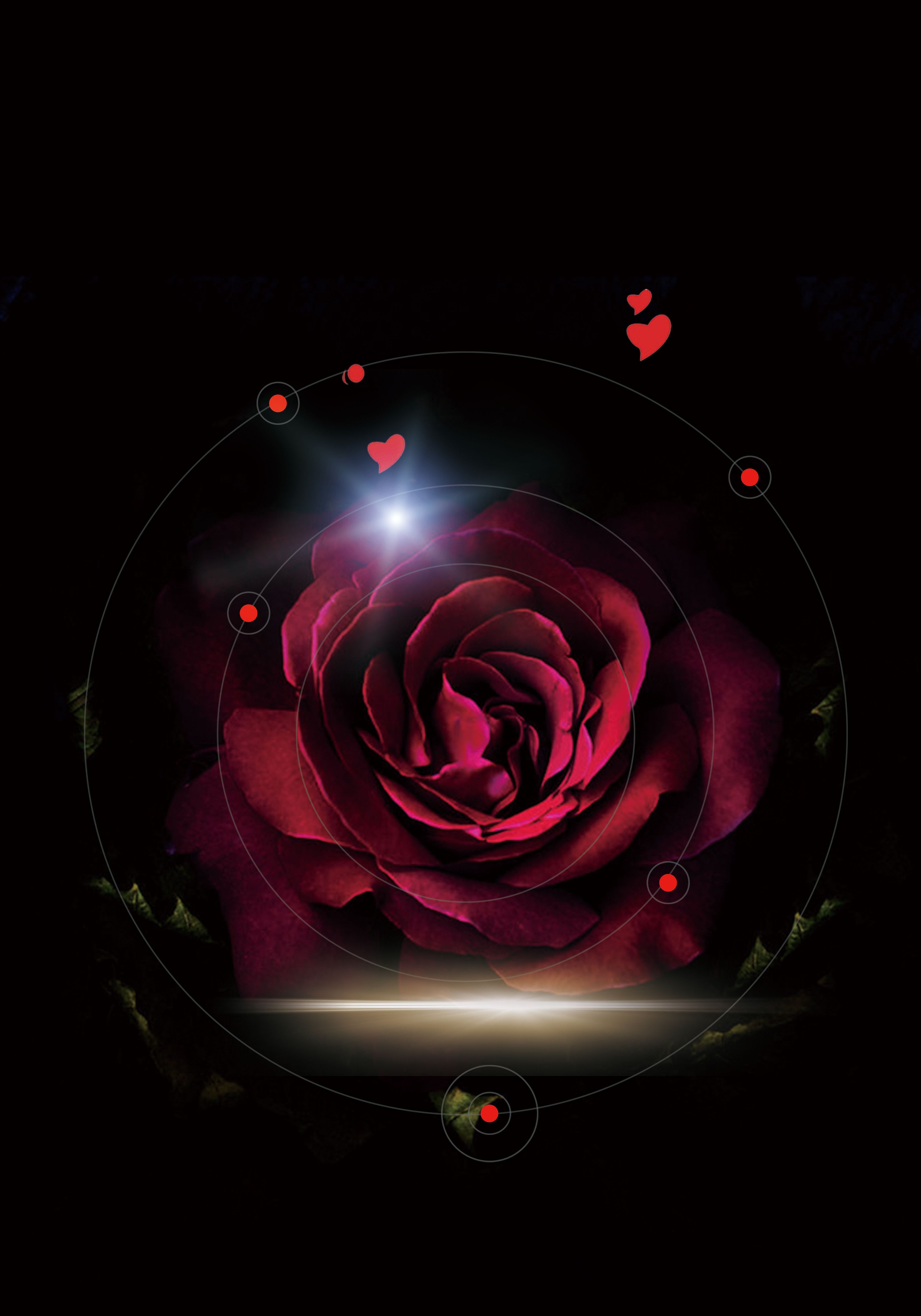 Sad Roses Wallpapers Wallpaper Cave