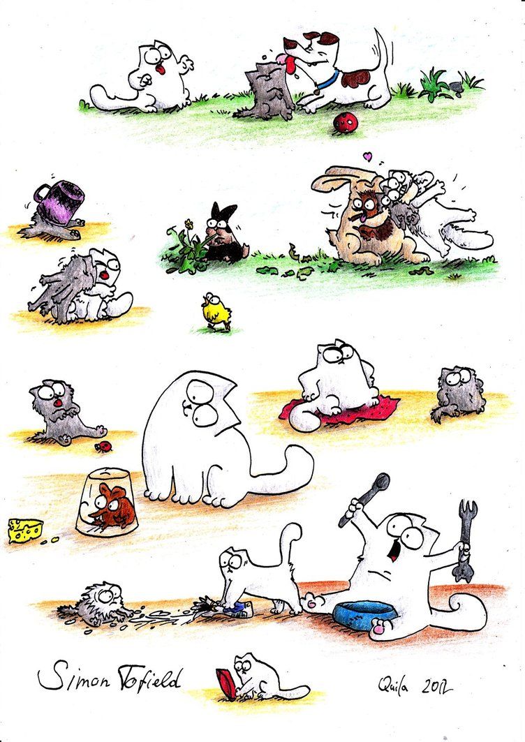 Simon's Cat Wallpapers Wallpaper Cave