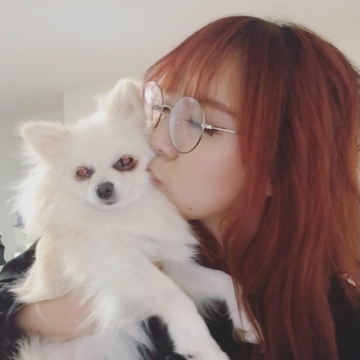 LilyPichu Wallpapers Wallpaper Cave