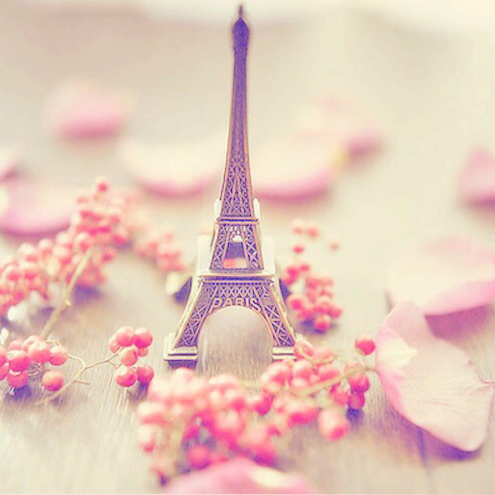 Pink Paris Wallpapers Wallpaper Cave