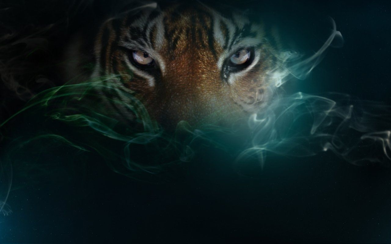 Cool Tigers Wallpapers Wallpaper Cave