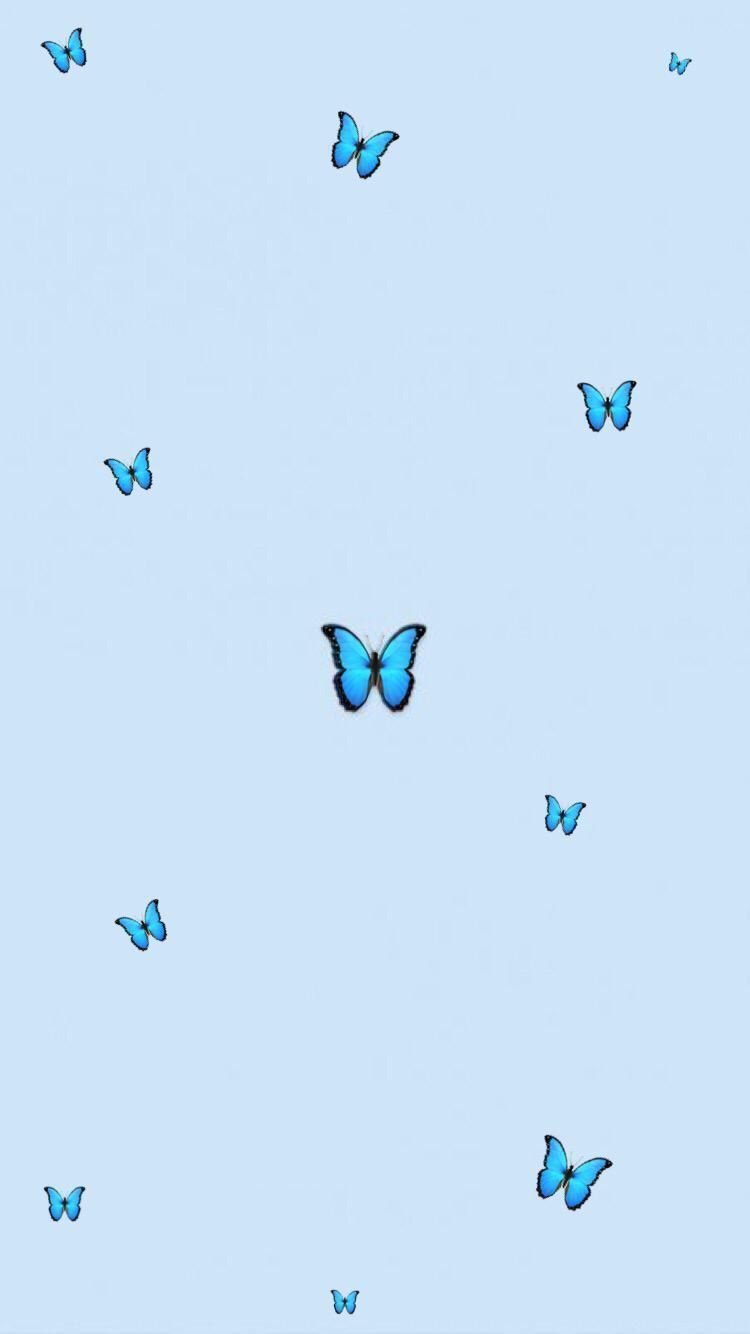 Aesthetic Baby Blue Wallpapers Wallpaper Cave