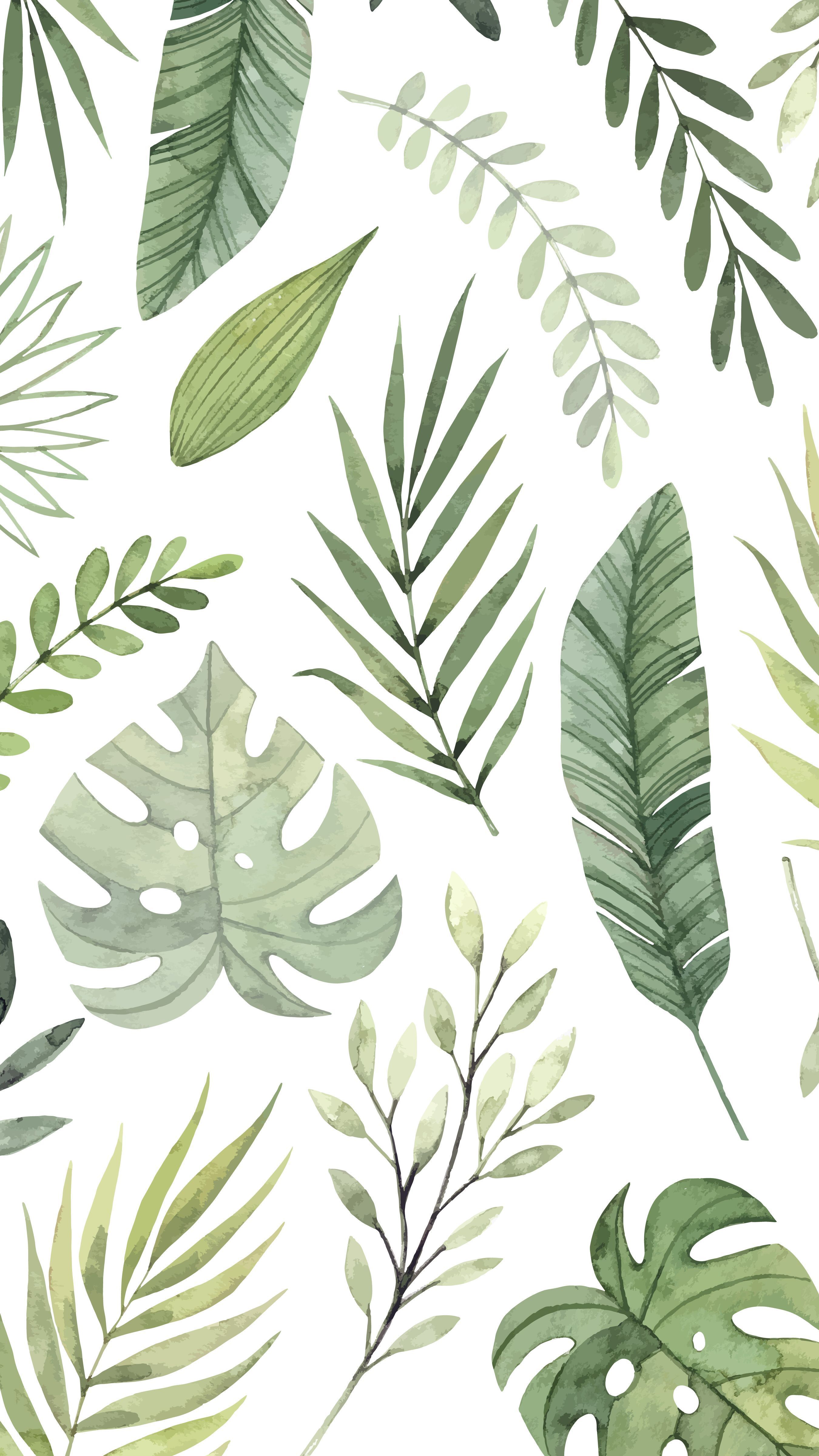 Plant Pastel Aesthetic Wallpapers Wallpaper Cave