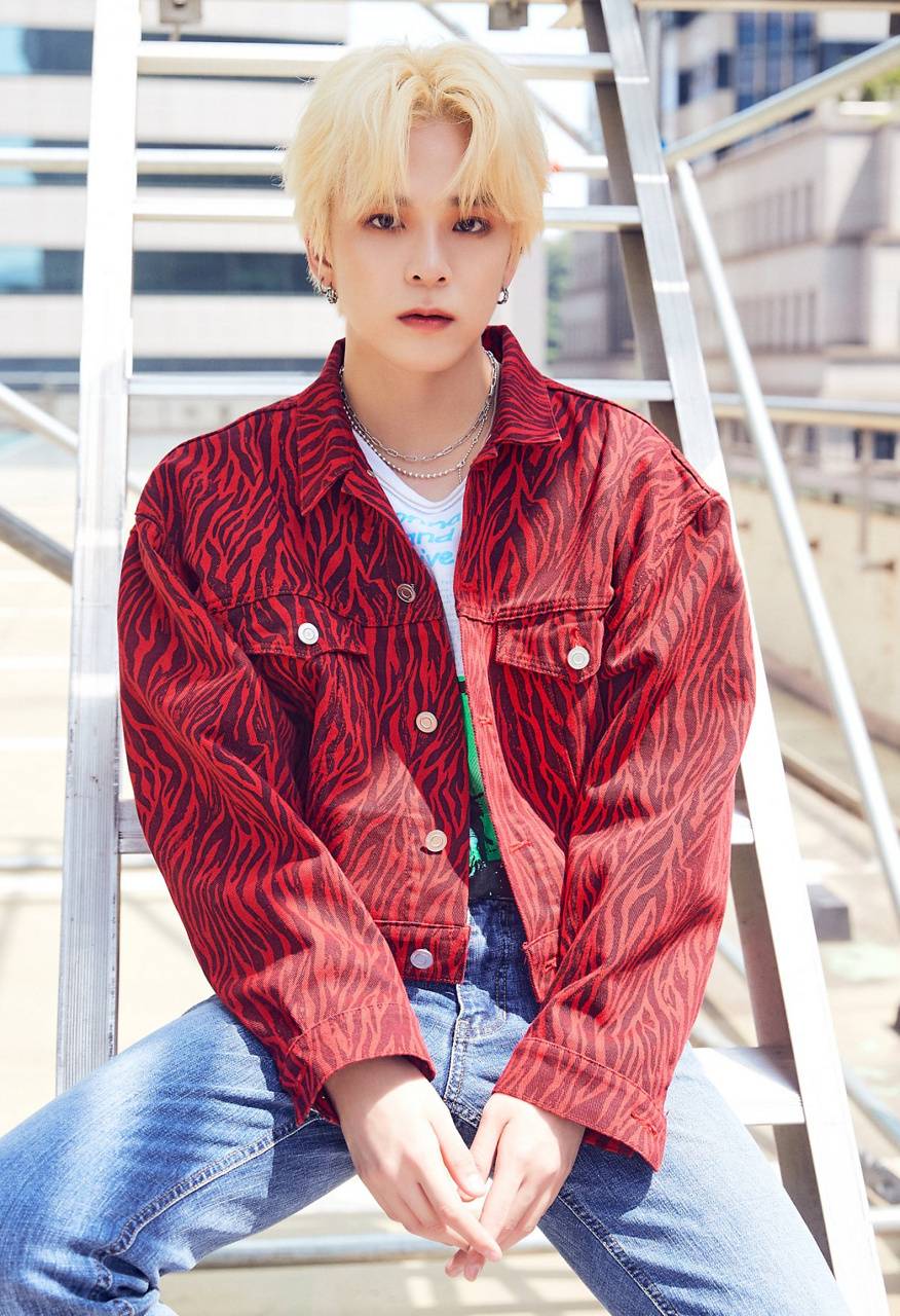 Asahi Treasure Wallpapers Wallpaper Cave