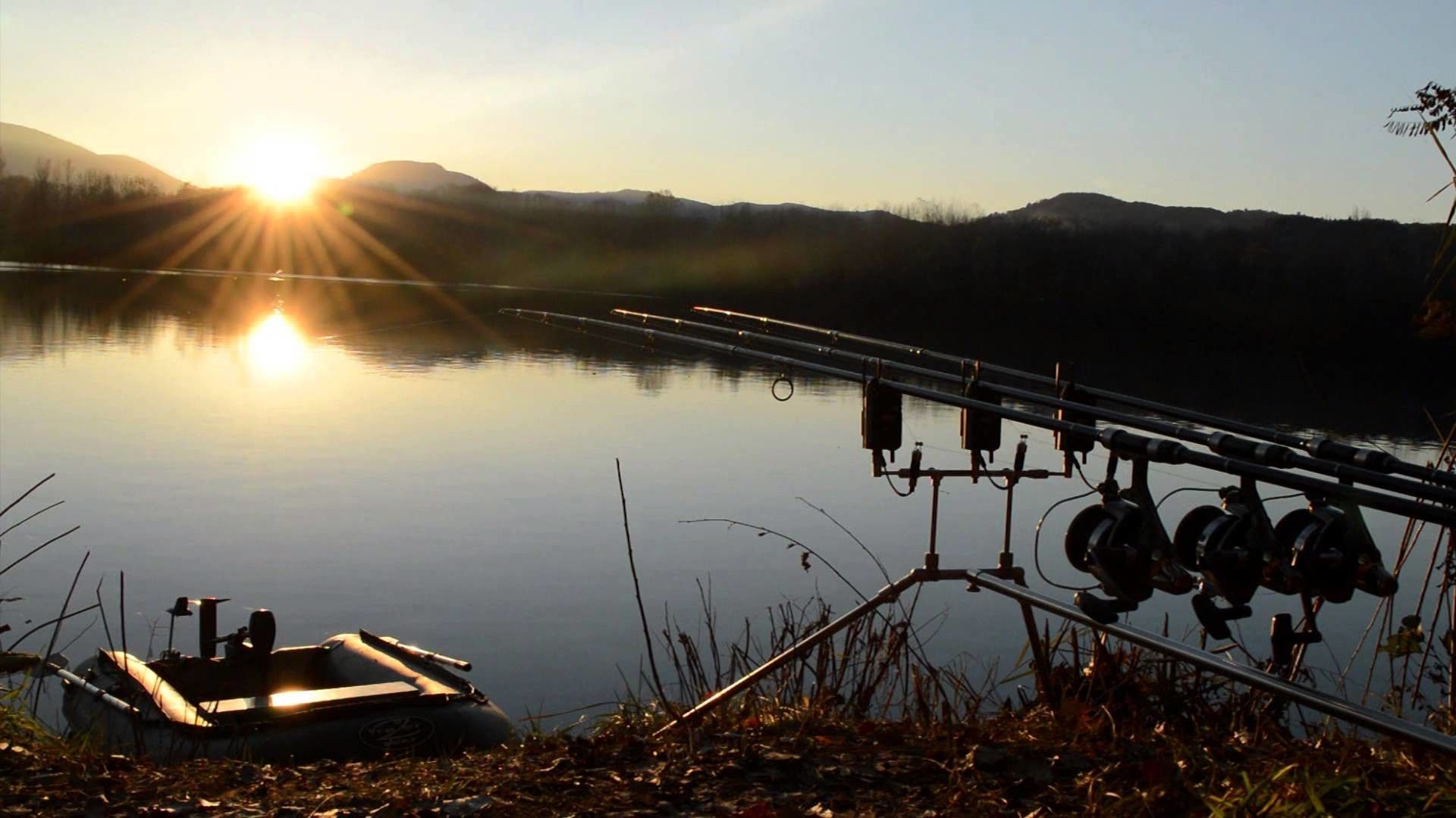 Carp Fishing Wallpapers Wallpaper Cave