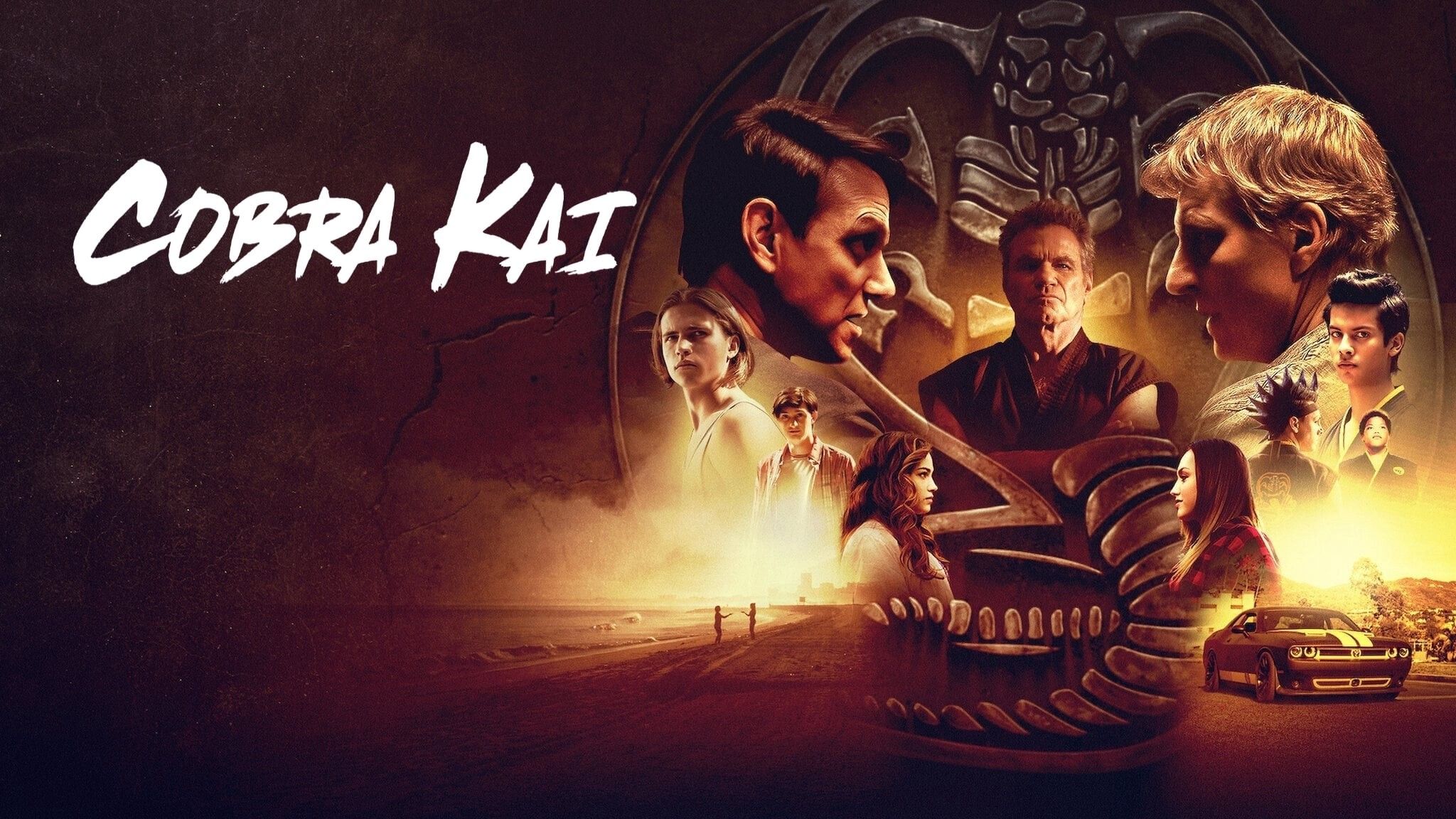 Cobra Kai Season 3 Wallpapers Wallpaper Cave