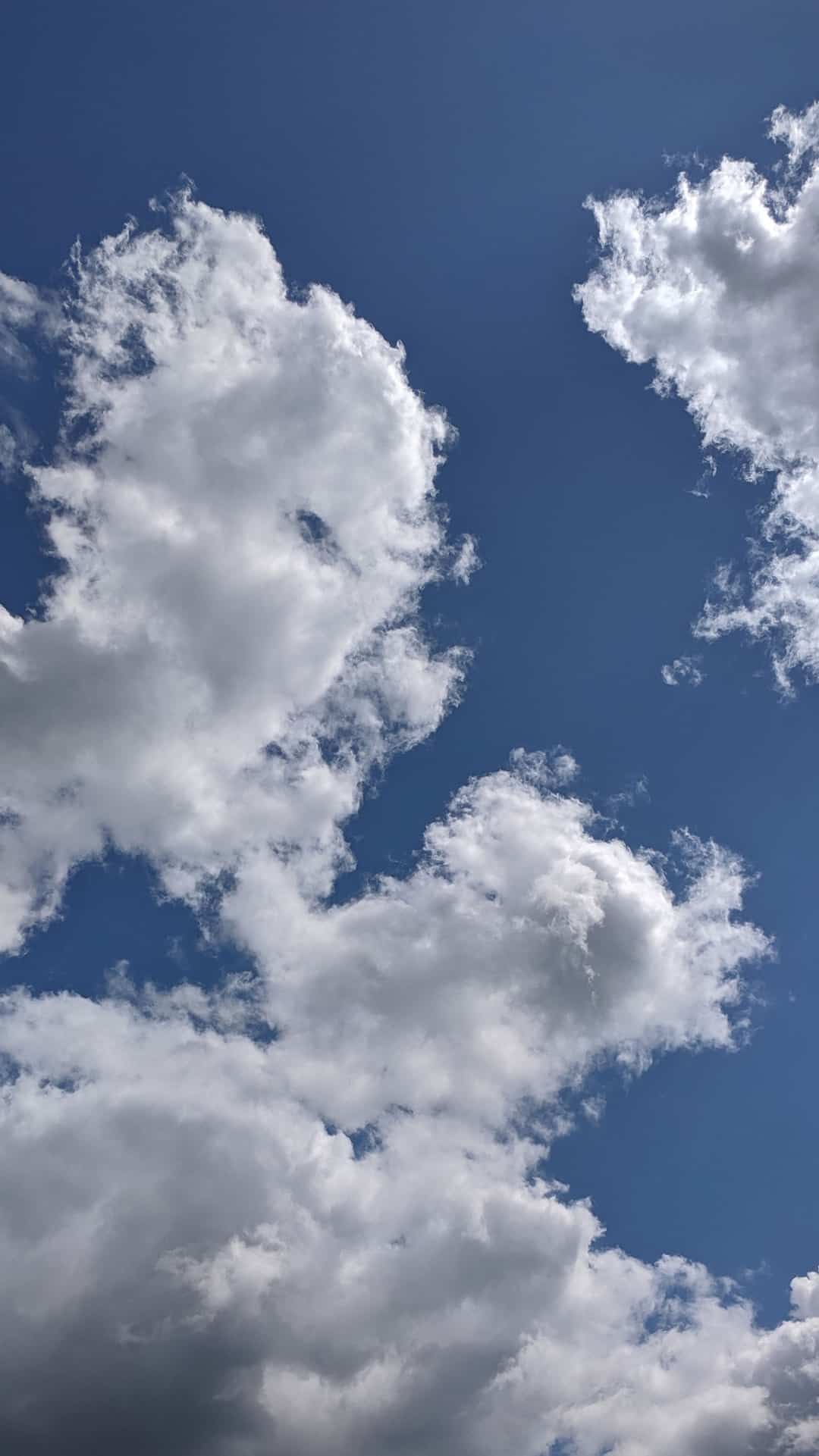 White Sky Wallpapers Wallpaper Cave