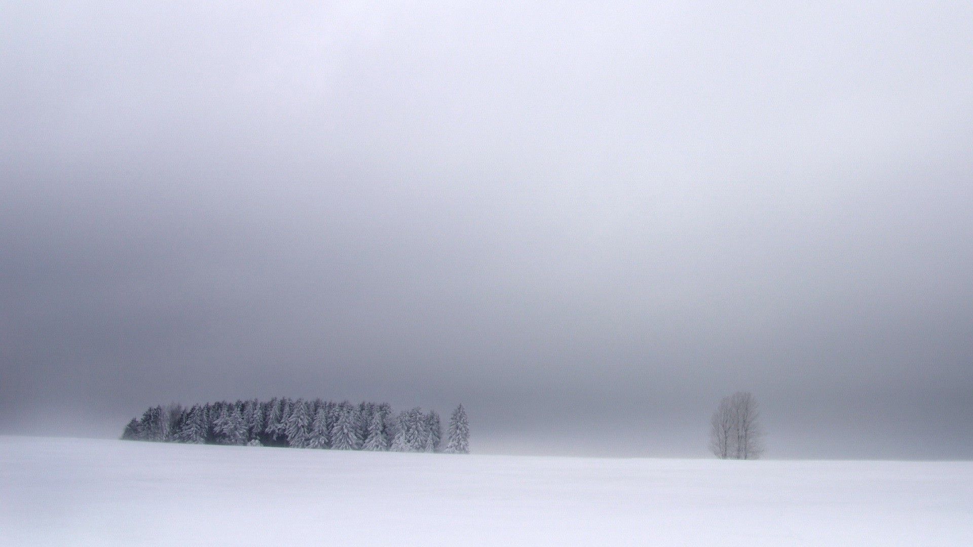 White Sky Wallpapers Wallpaper Cave