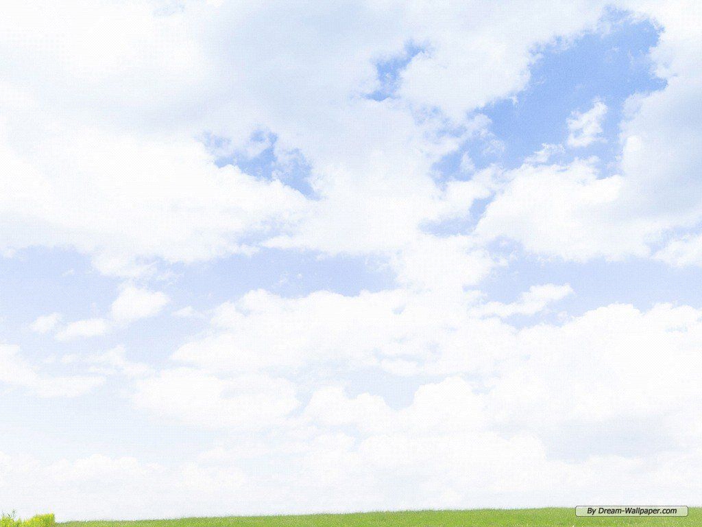 White Sky Wallpapers Wallpaper Cave