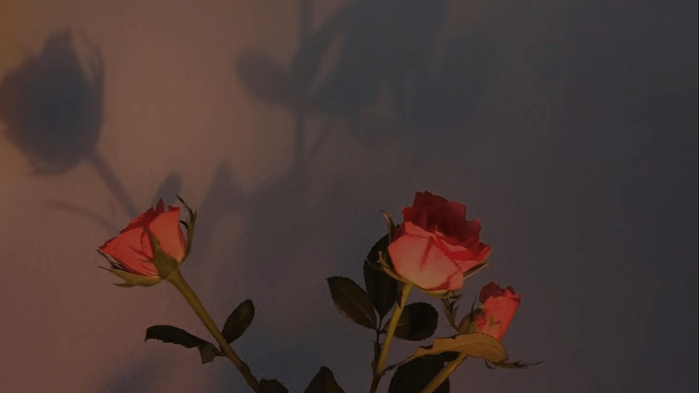 Aesthetic Roses Desktop Wallpapers Wallpaper Cave