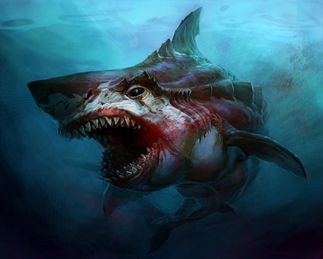 Scary Sharks Wallpapers Wallpaper Cave