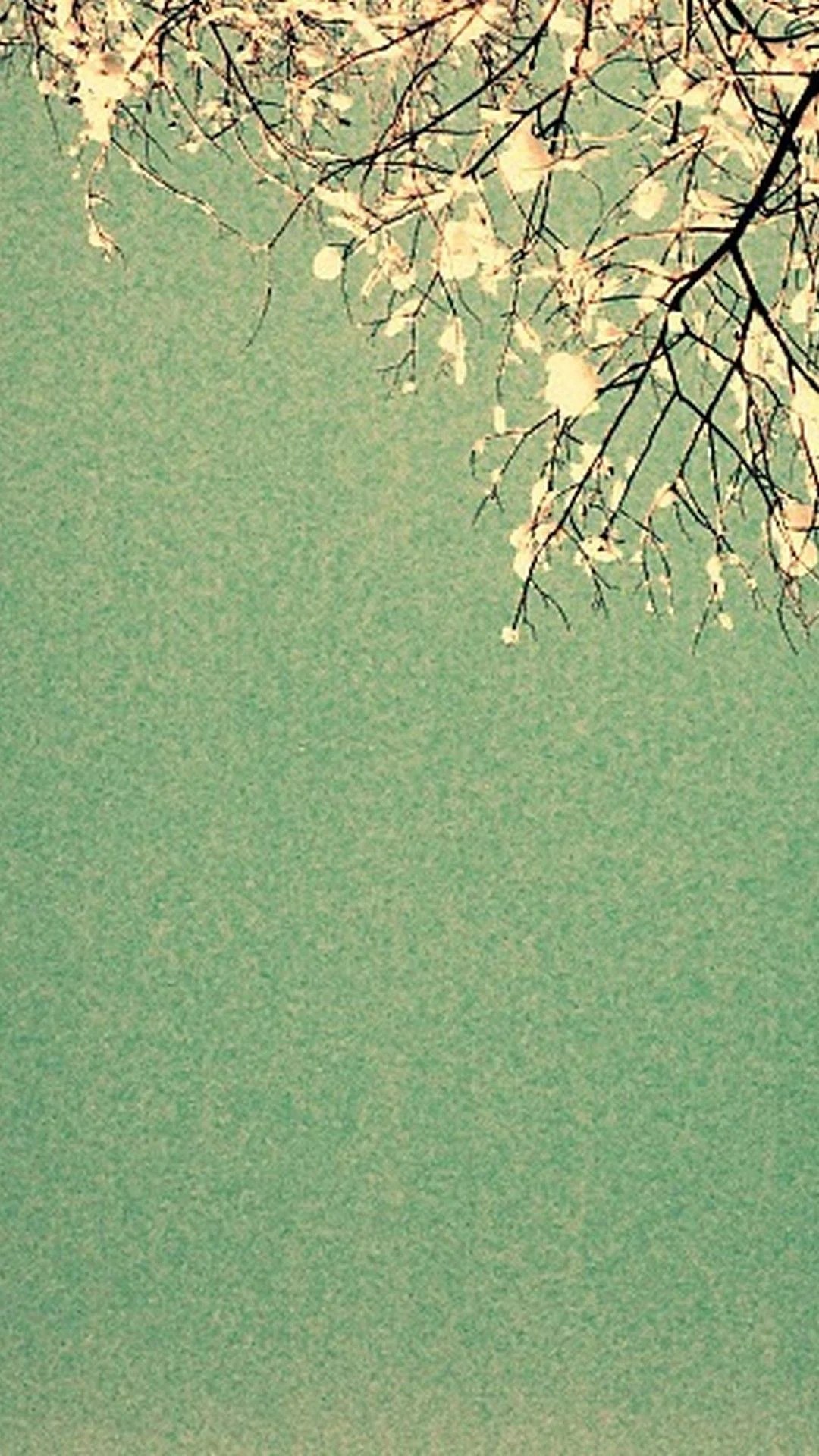 Phone Green Colour Wallpapers Wallpaper Cave