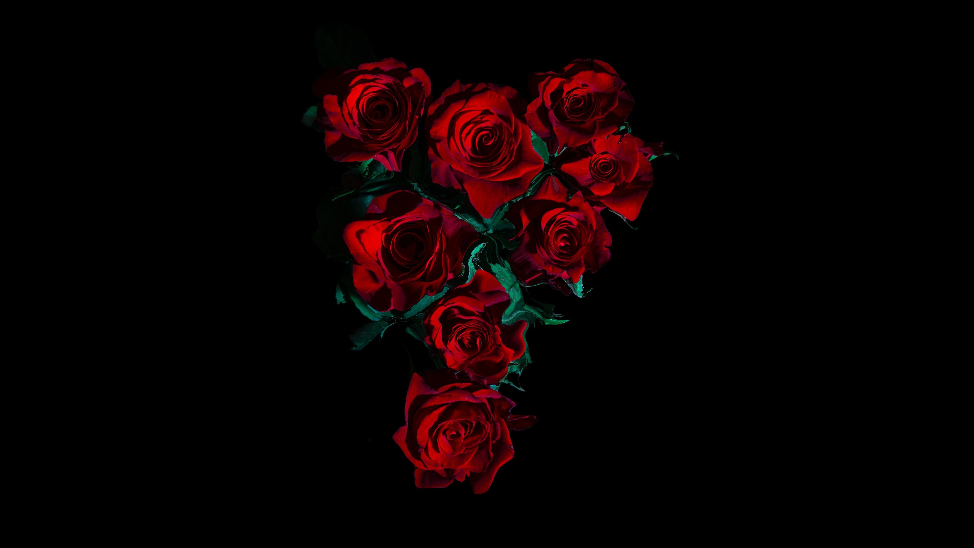 Amoled Rose Wallpapers Wallpaper Cave