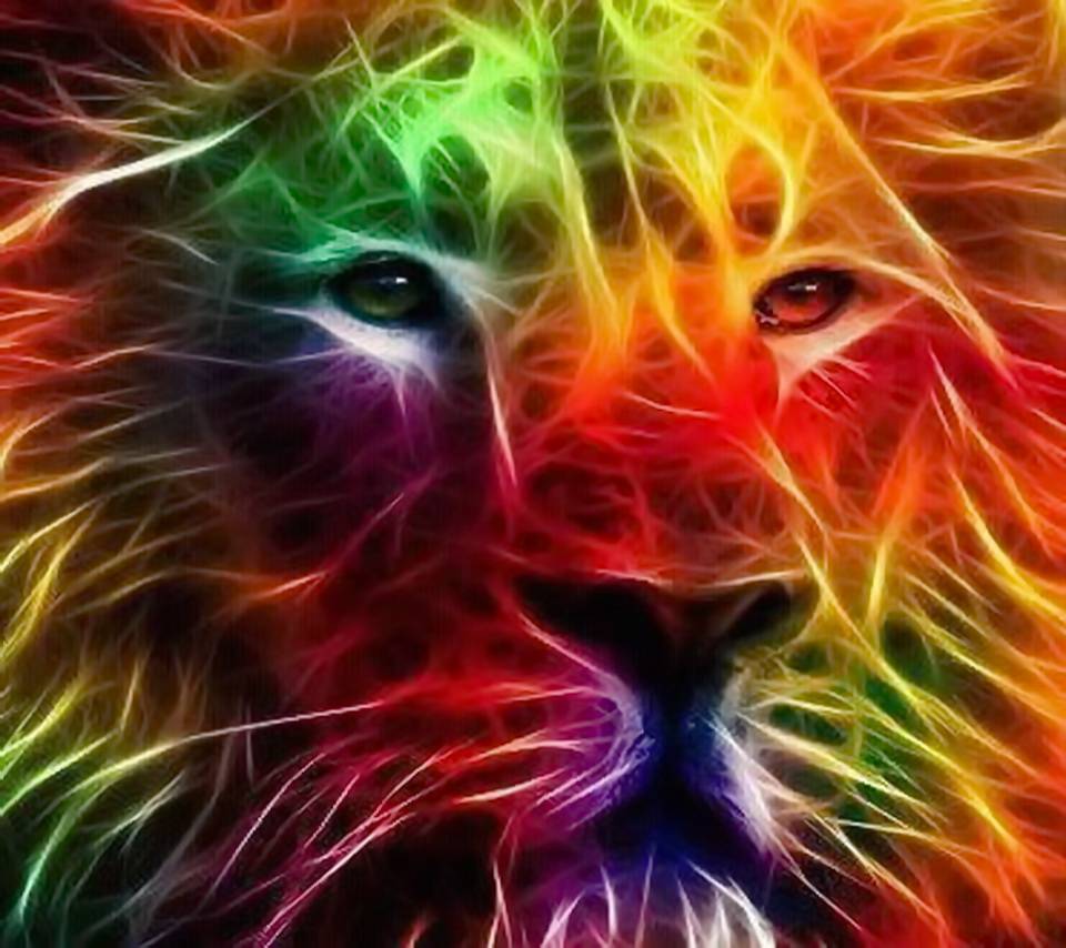 Colorful Lion Wallpapers Wallpaper Cave