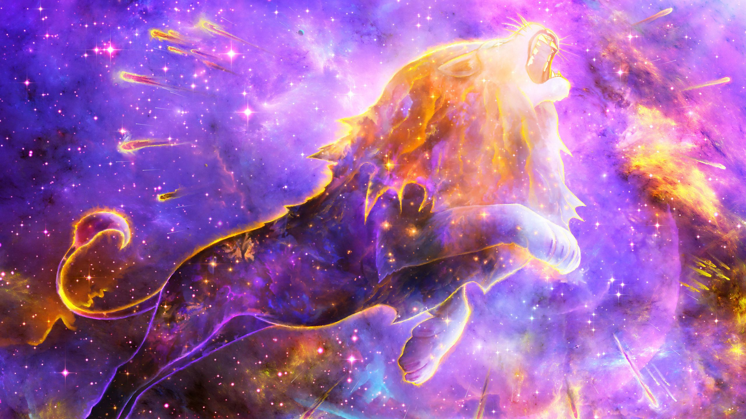 Colorful Lion Wallpapers Wallpaper Cave