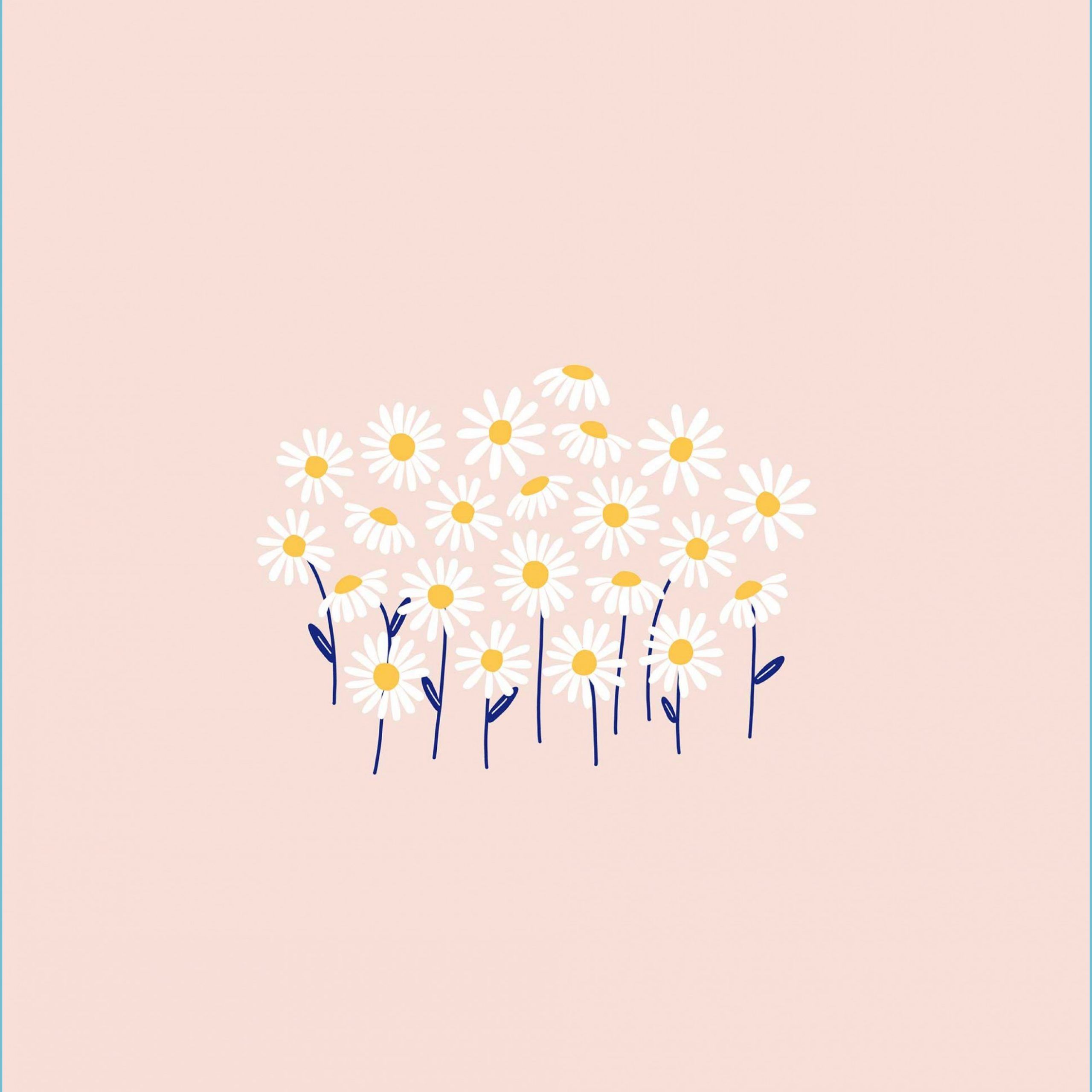 Daisy Aesthetic Wallpapers Wallpaper Cave