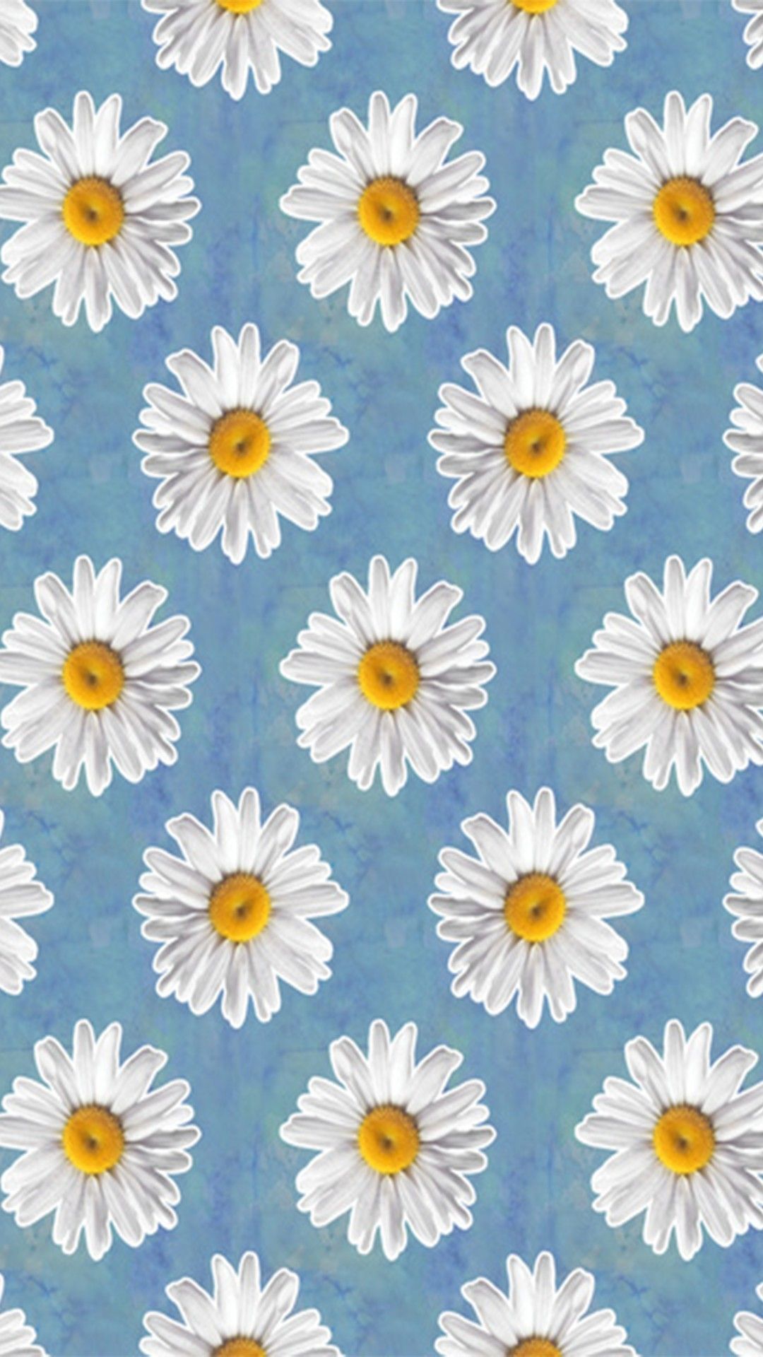 Daisy Aesthetic Wallpapers Wallpaper Cave