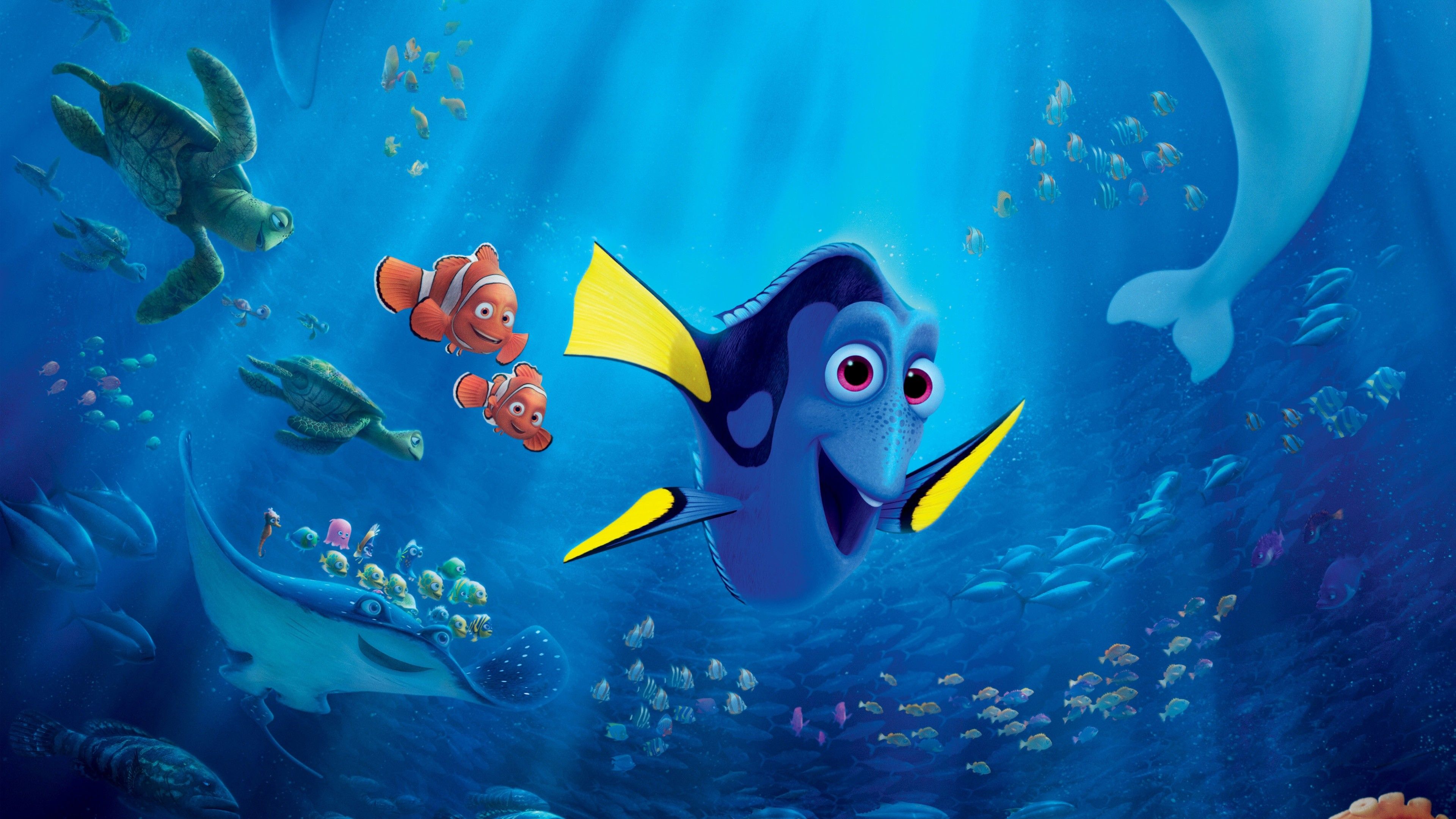 Nemo Fish Wallpapers Wallpaper Cave