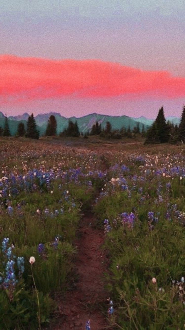 Cottagecore Phone Wallpapers Wallpaper Cave