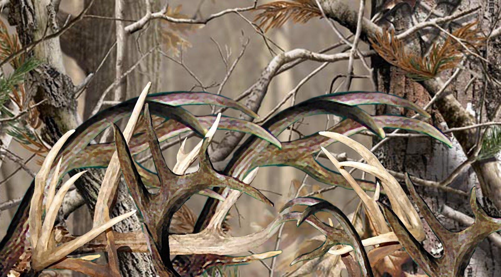 Deer Antlers Wallpapers Wallpaper Cave