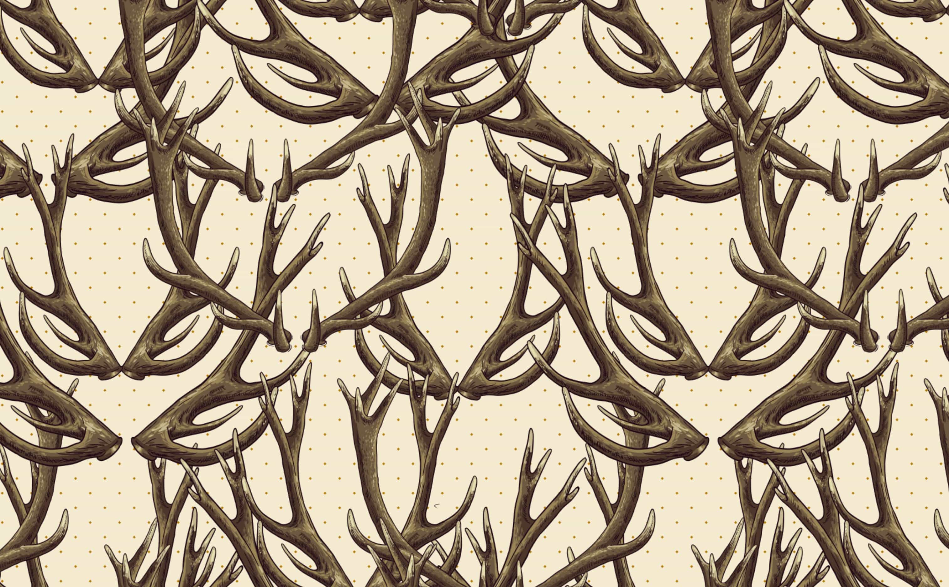 Deer Antlers Wallpapers Wallpaper Cave
