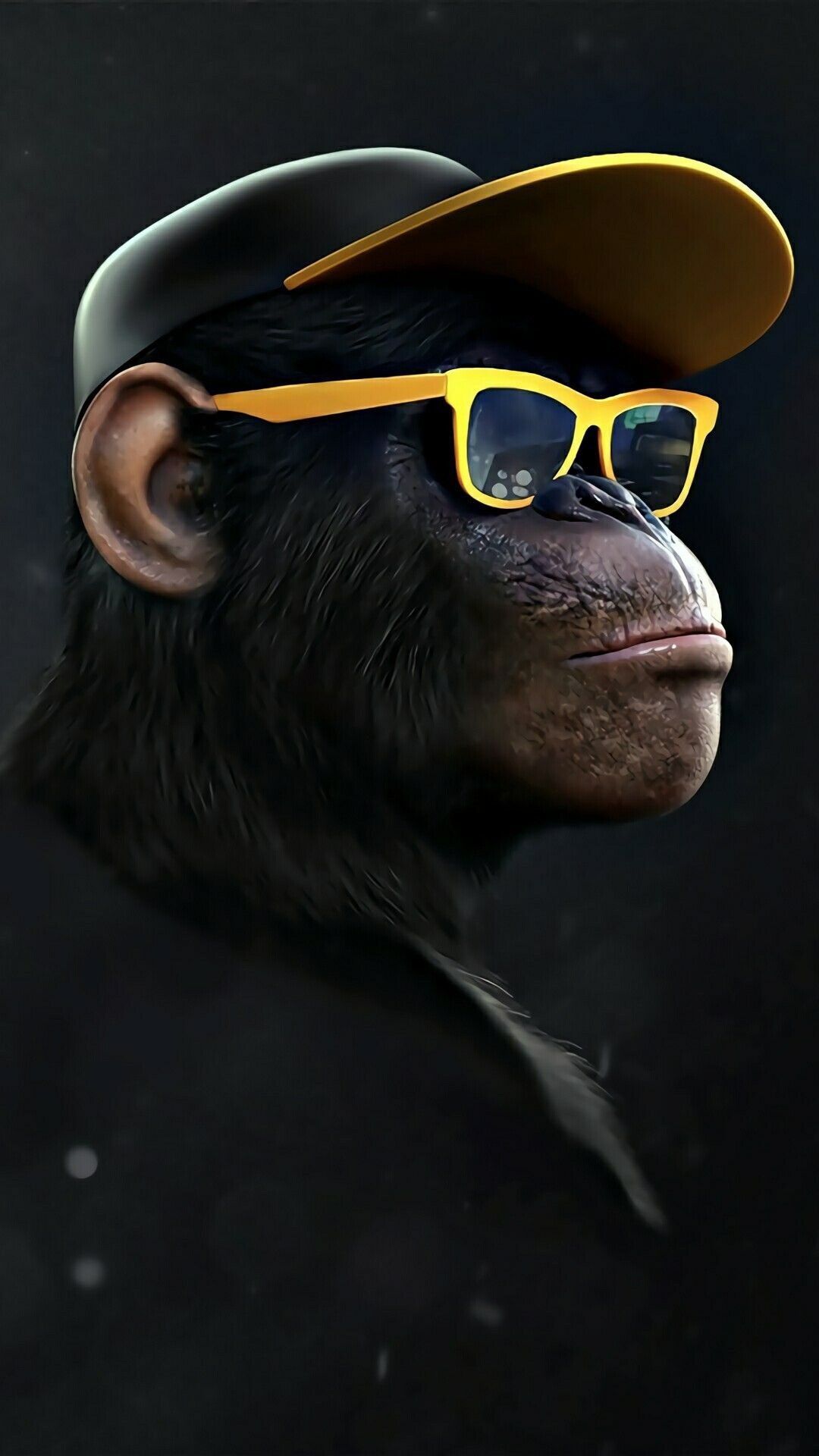 Cool Monkey Wallpapers Wallpaper Cave