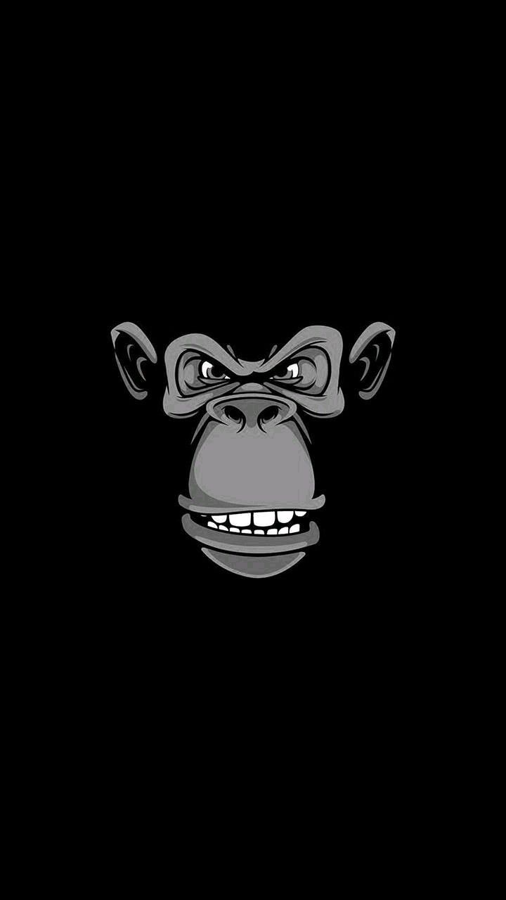 Cool Monkey Wallpapers Wallpaper Cave
