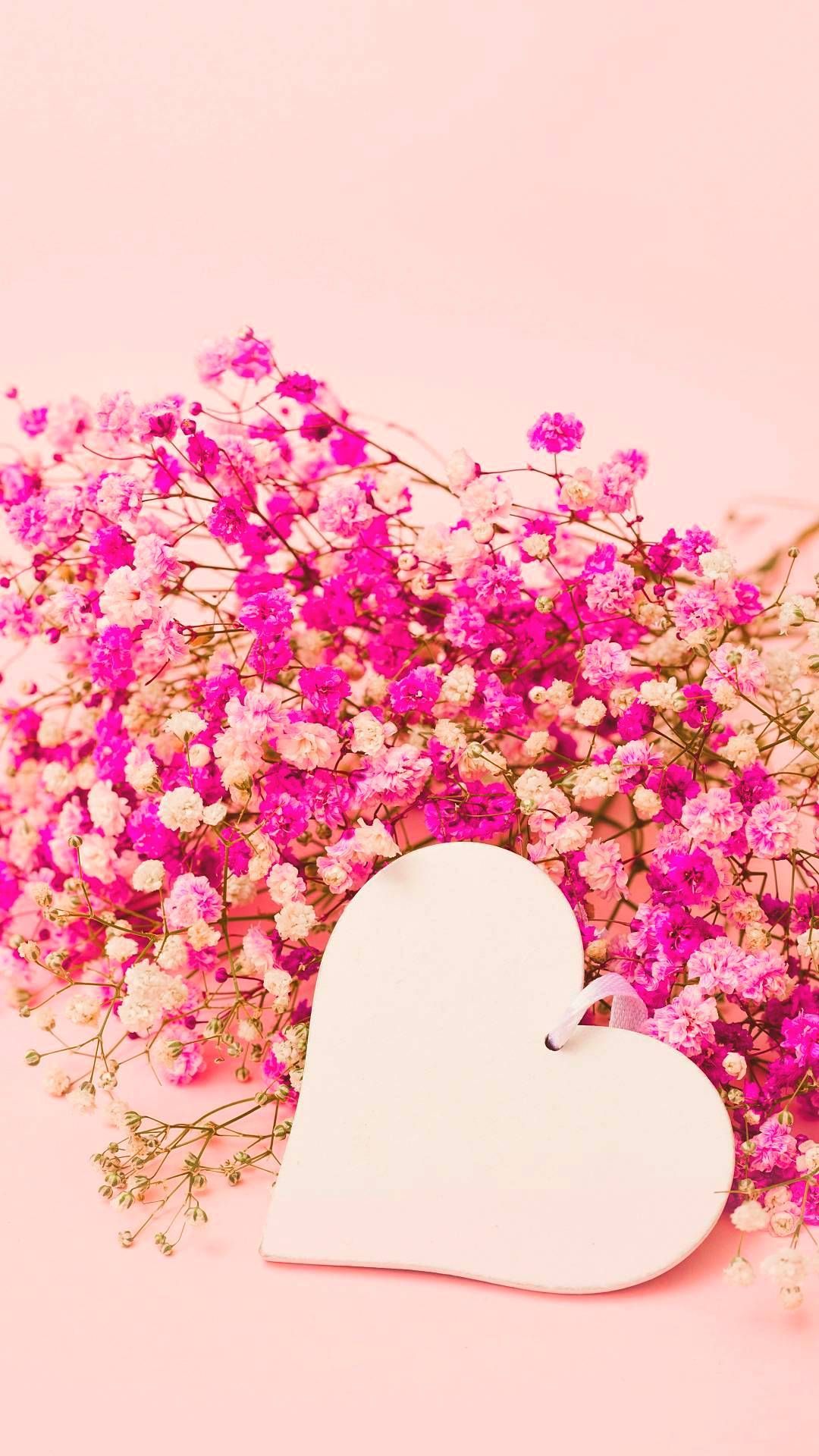 4k iPhone 12 Flowers Wallpapers Wallpaper Cave