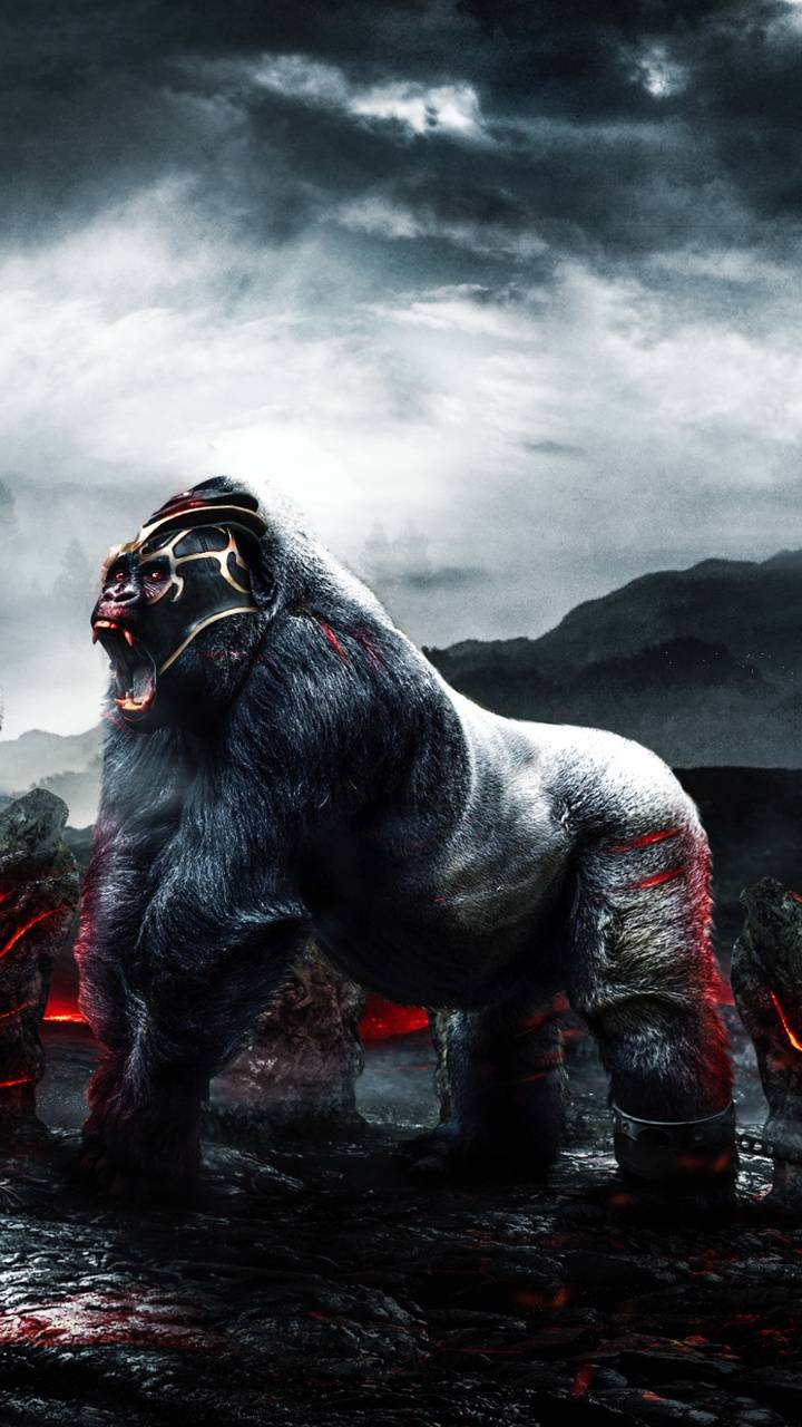 Angry Gorilla Wallpapers Wallpaper Cave
