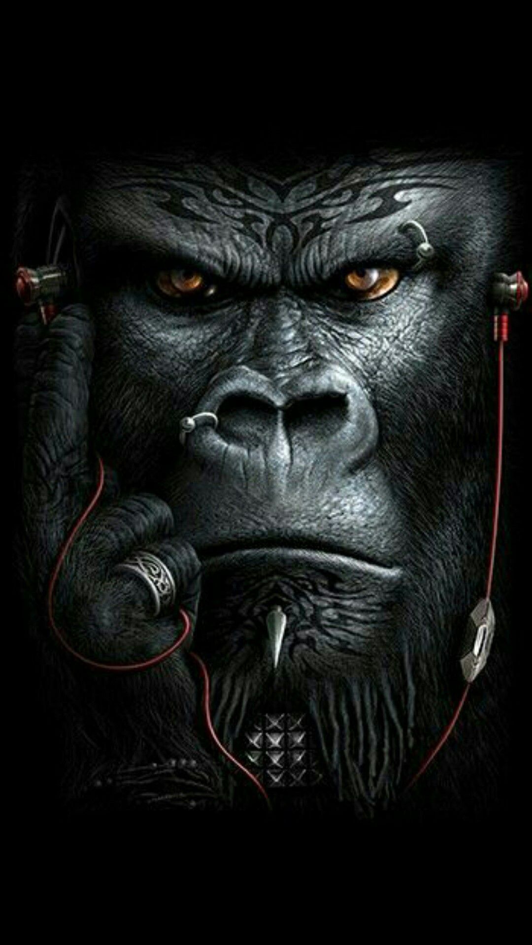 Angry Gorilla Wallpapers Wallpaper Cave
