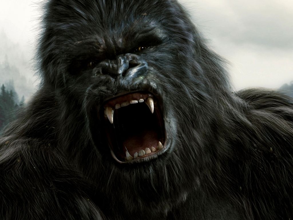 Angry Gorilla Wallpapers Wallpaper Cave
