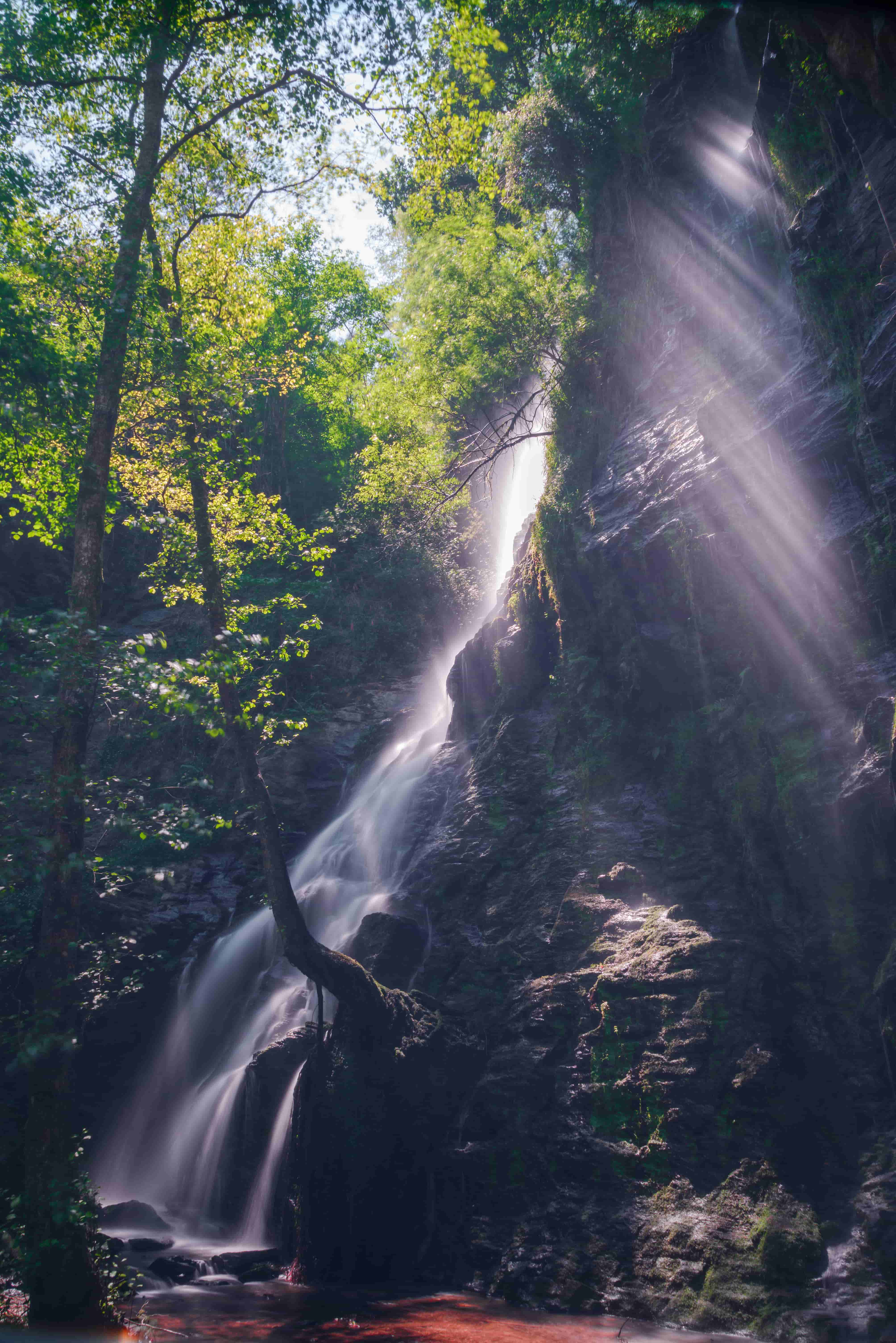 8k Nature Mobile Wallpapers Wallpaper Cave