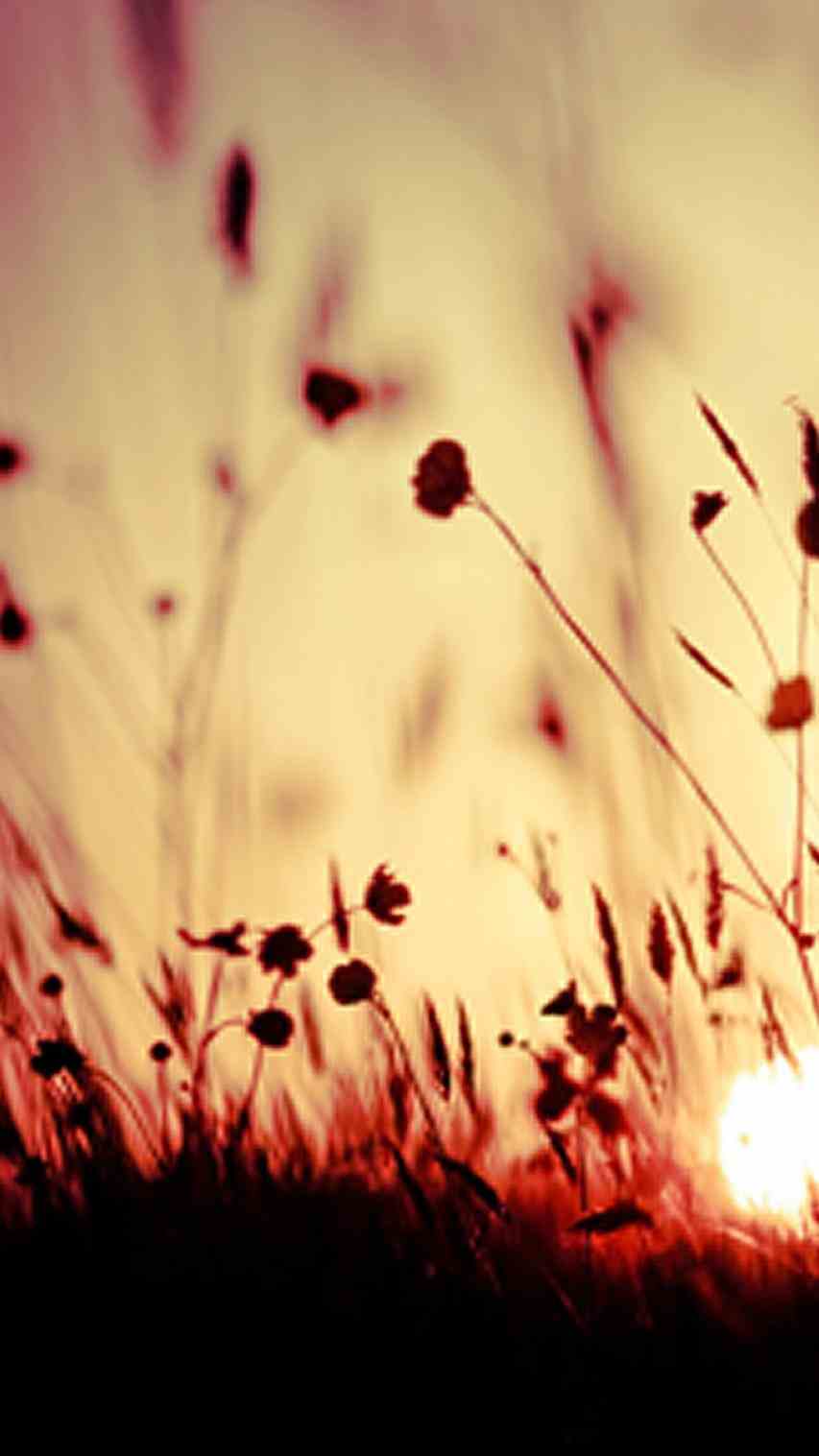 Vintage Phone Wallpapers Wallpaper Cave