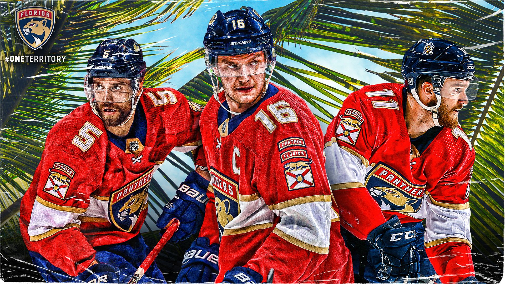 Florida Panthers Desktop Wallpapers Wallpaper Cave