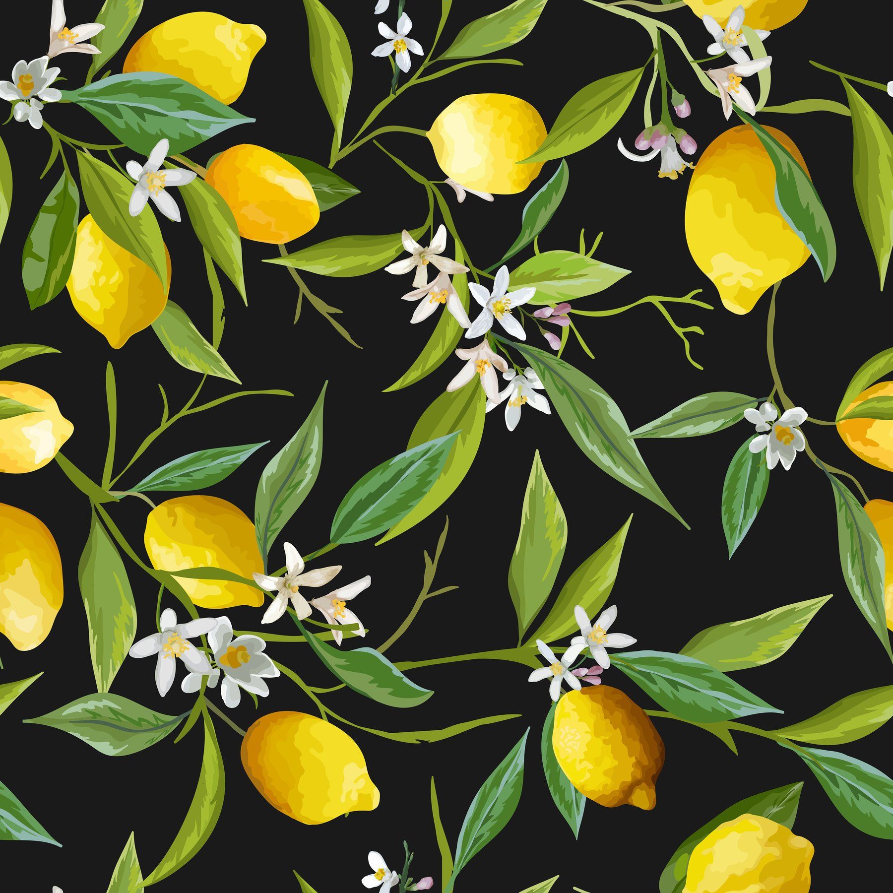 Download 56+ Lemon Tree Wallpaper Iphone Gambar Download Posts.id