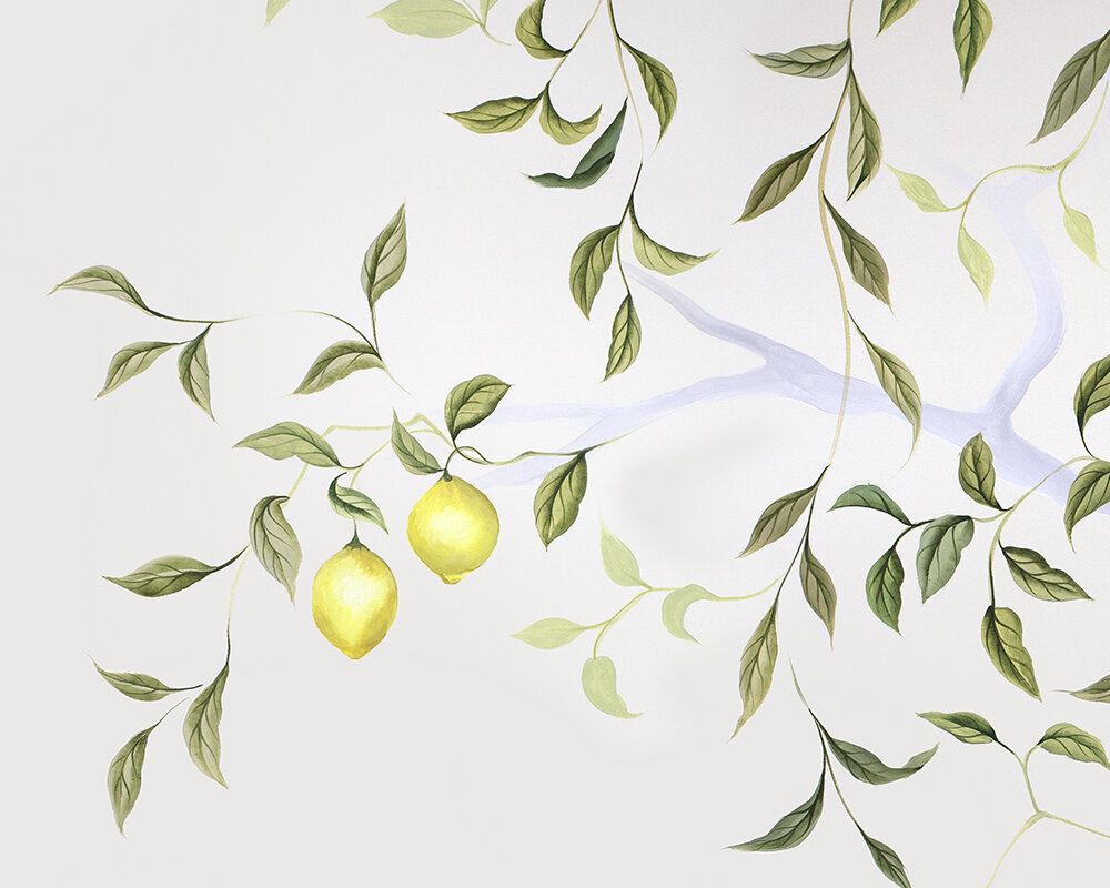 Lemon Tree Wallpapers Wallpaper Cave