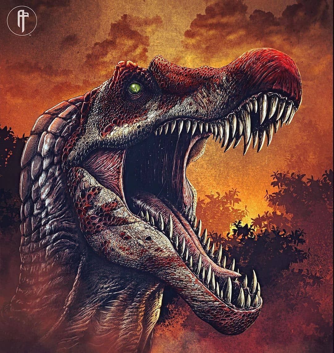 Paleontology Wallpapers Wallpaper Cave