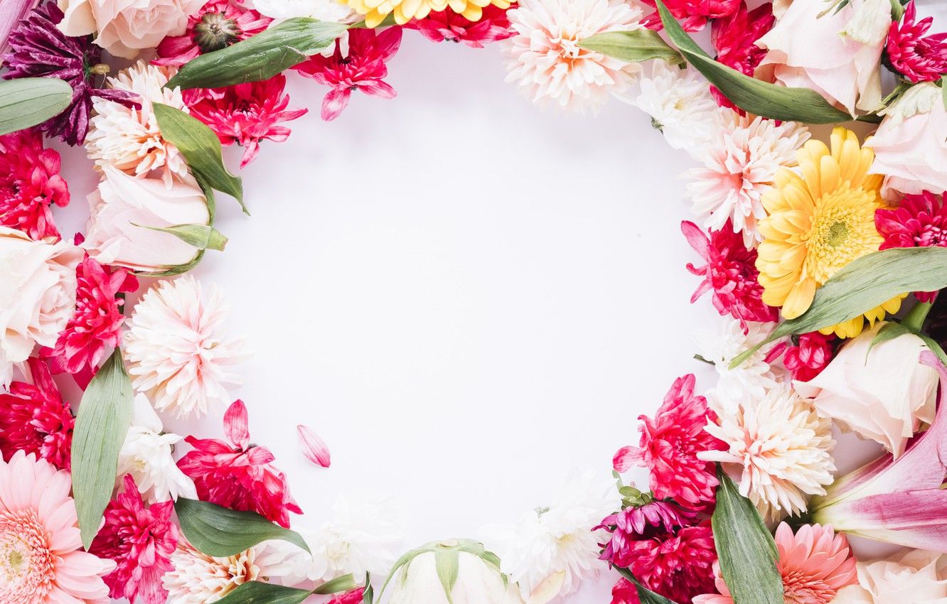 Flower Frame Wallpapers Wallpaper Cave