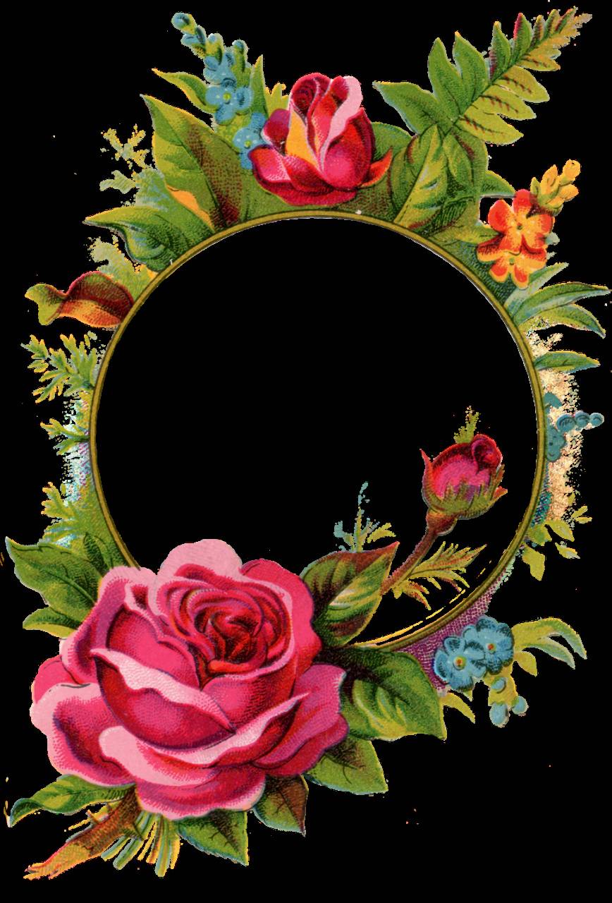 Flower Frame Wallpapers Wallpaper Cave