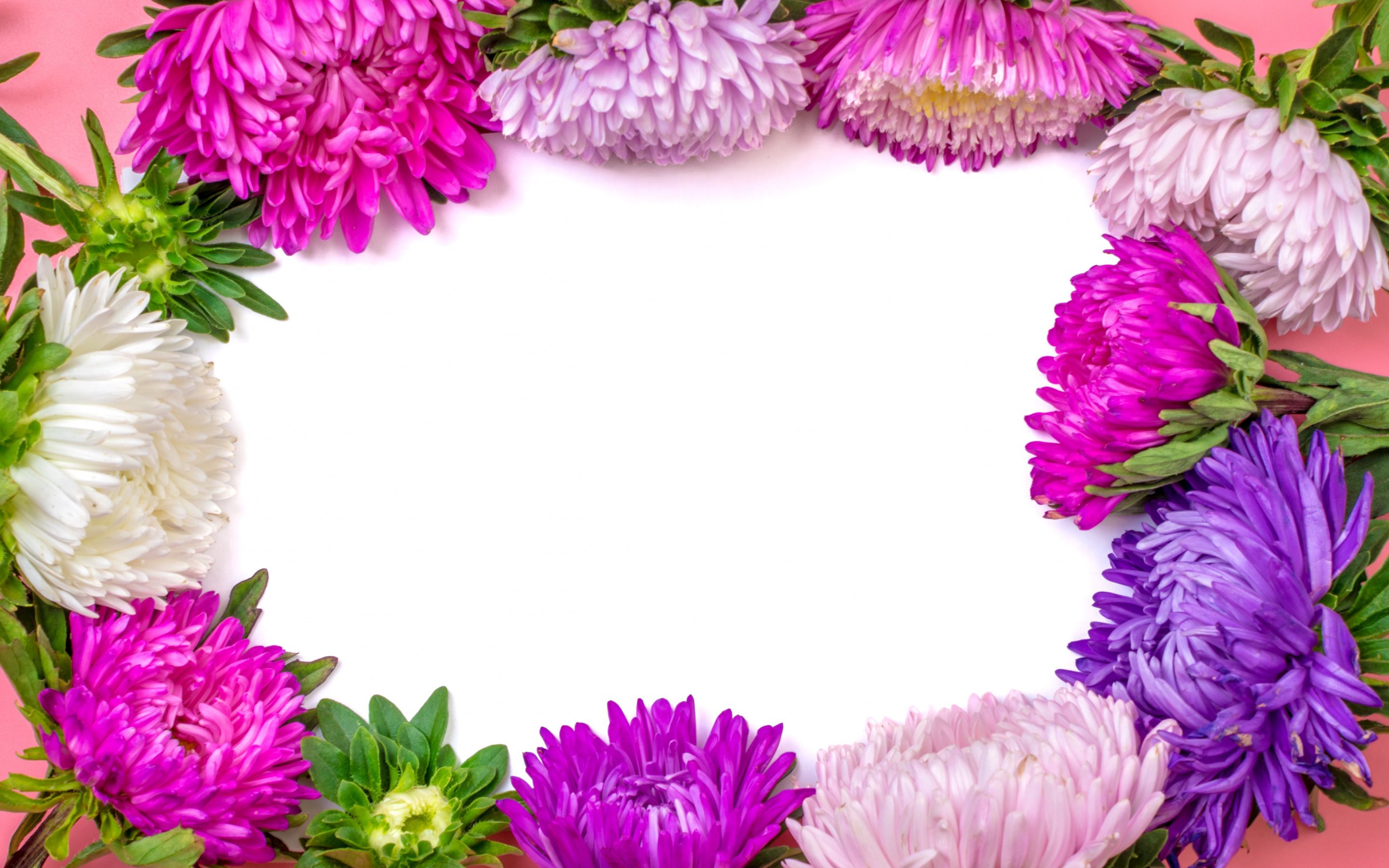 Flower Frame Wallpapers Wallpaper Cave