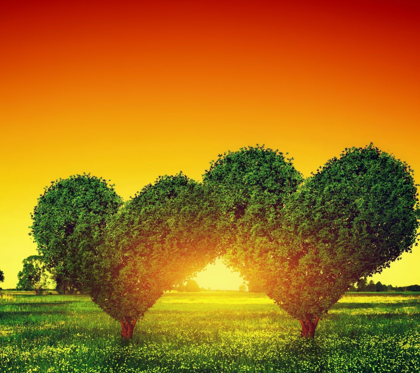 Heart Shaped Tree Wallpapers Wallpaper Cave