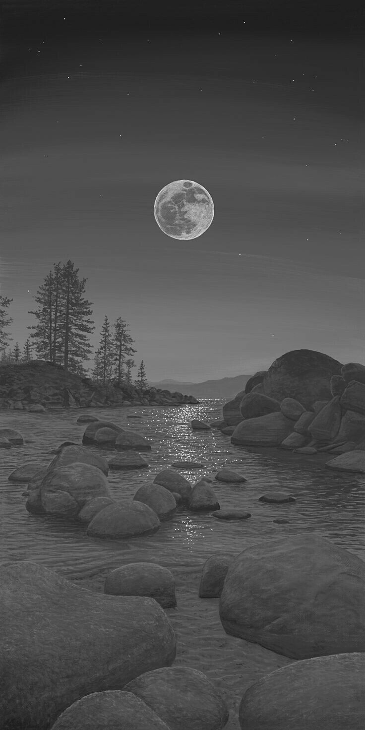 Grey Nature Wallpapers Wallpaper Cave