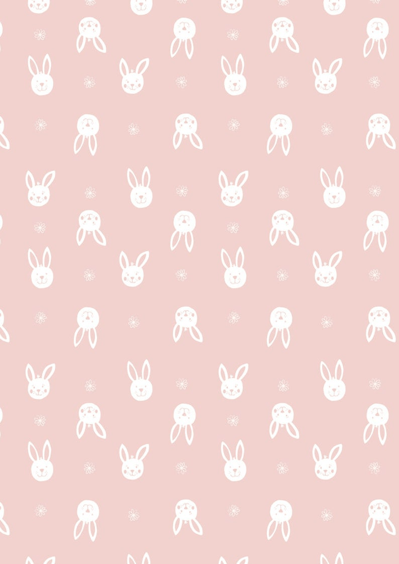 Bunny Aesthetic Wallpapers Wallpaper Cave