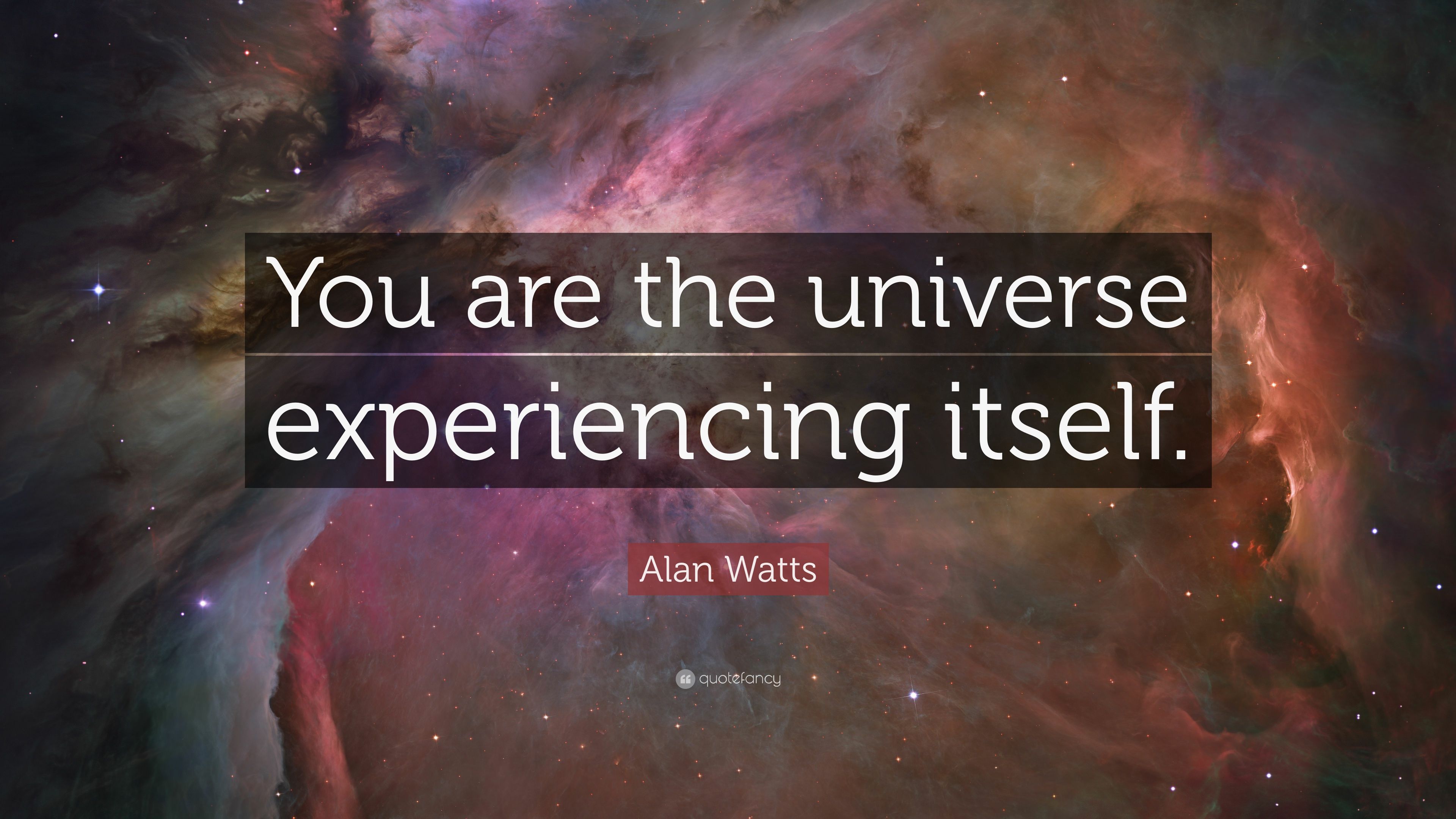 Alan Watts Wallpapers Wallpaper Cave