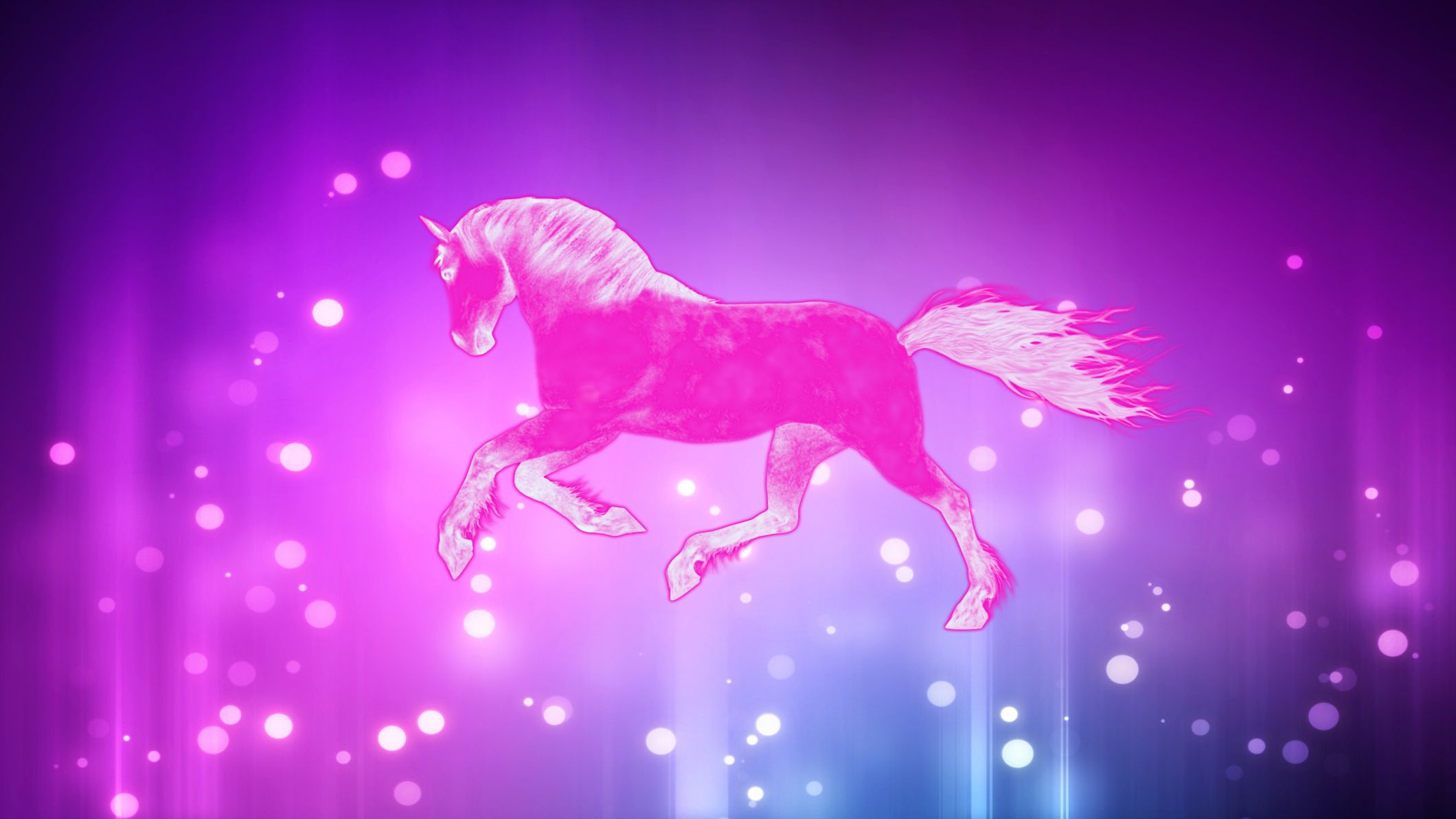 Neon Pink Horse Wallpapers Wallpaper Cave