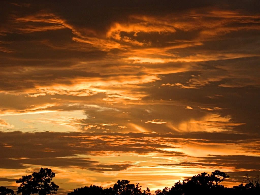 Sky Brown Wallpapers Wallpaper Cave