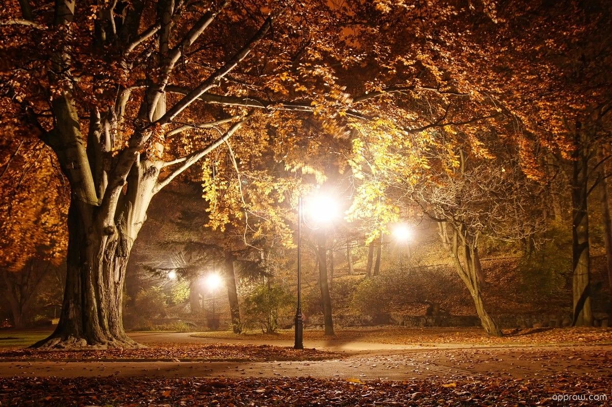 Autumn Night Desktop Wallpapers Wallpaper Cave